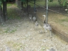 dscn0278