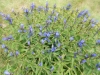 dscn0312