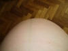 fotka