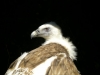 dscn0946