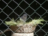 dscn0947