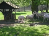 dscn0952