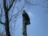dscn0988