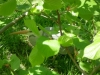 dscn0991